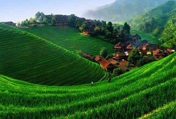 Media_httpventurebeatcomwpcontentuploads200910greenchinajpg_qlpyltxfhzvbime