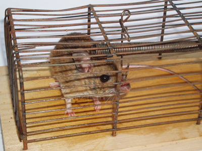 Media_httpstatic4busi_gdmgl