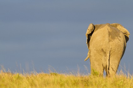 Media_httpgigaom2file_avpwc