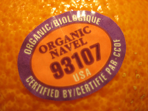 Media_httptctechcrunc_gvdpe